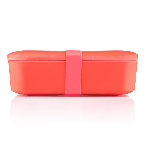 Bamboo Bento Lunch Box