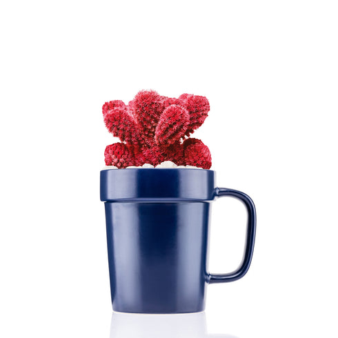 16 oz Planter Mug
