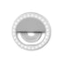 Zoom / Selfie Ring Light