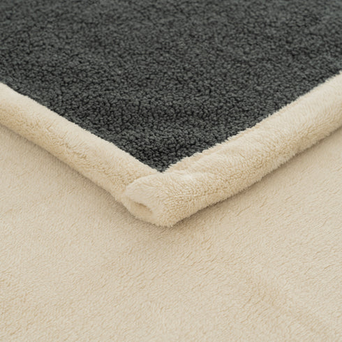 Teddy Luxe Blanket