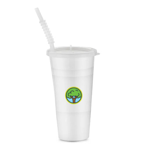 22 oz Reusable Plastic Party Cup With Lid