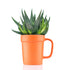 16 oz Planter Mug