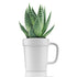 16 oz Planter Mug